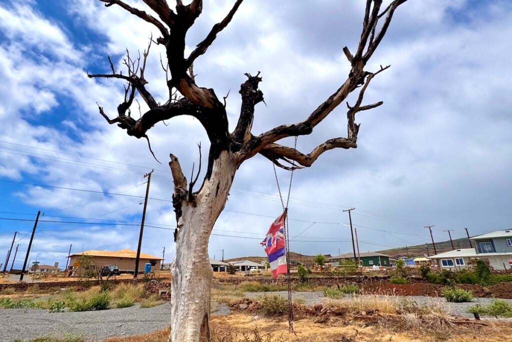 0725 Hb 1800x1200 Web Hero6