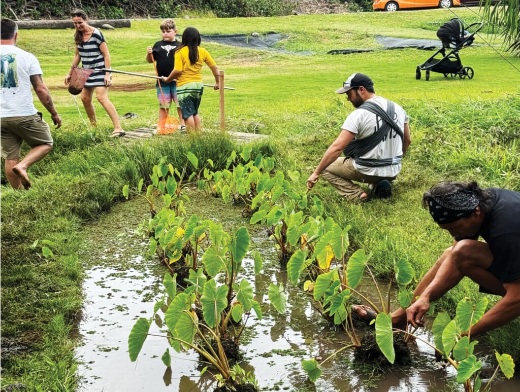 Hb 1800x1200 Hcf Web Hero