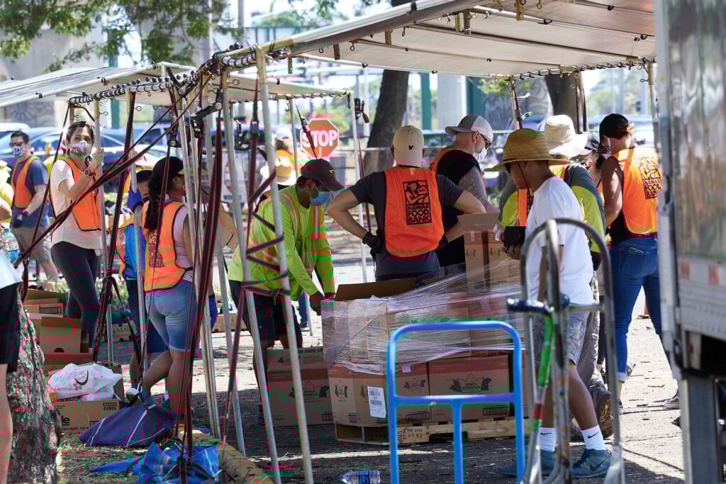 Hn2006 Dc Aloha Food 6013